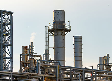 FlexSafe